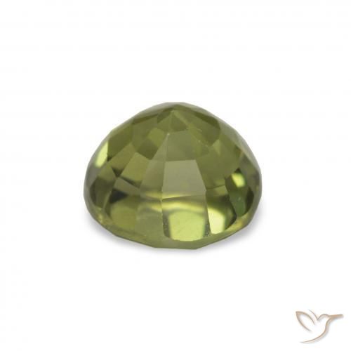 Turmalina Verde bosque natural de 1.55 ct, Corte Redondo, VVS-VS