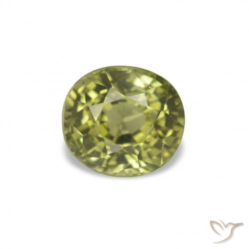 1.47ct Verde bosque cálido Turmalina Piedras Preciosas, Ovalada, VVS-VS