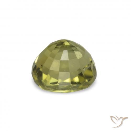 Turmalina Verde bosque cálido natural de 1.47 ct, Corte Óvalo, VVS-VS