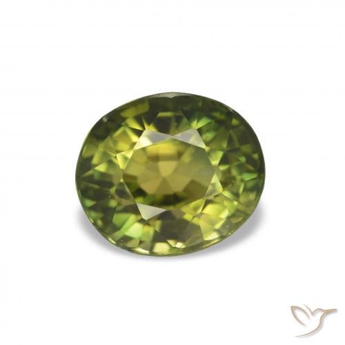 Turmalina Medium Dark-Green natural de 1.58 ct, Corte Óvalo, VVS-VS
