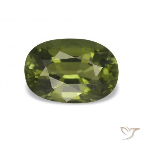 Turmalina Verde bosque cálido natural de 1.66 ct, Corte Óvalo, VVS-VS