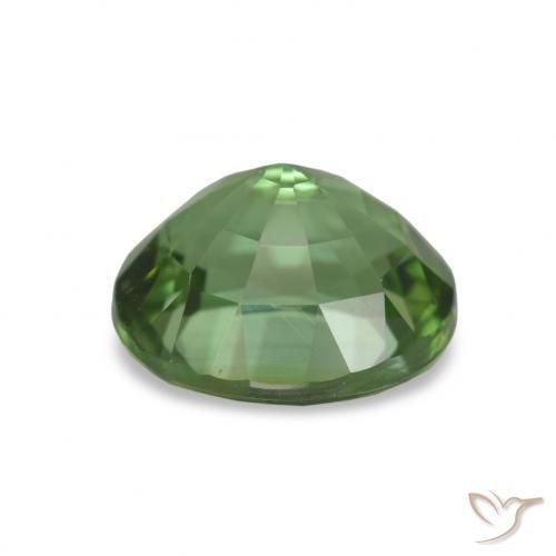Turmalina Verde medio natural de 1.81 ct, Corte Óvalo, VVS-VS