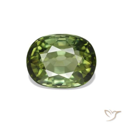 1.67ct Verde bosque Turmalina, Ovalada, VVS