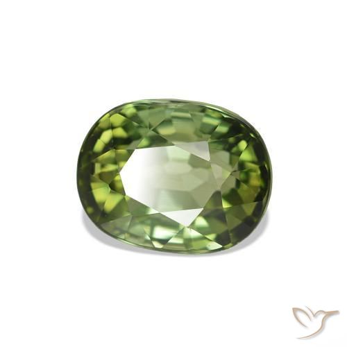 Turmalina Verde bosque natural de 1.67 ct, Corte Óvalo, VVS