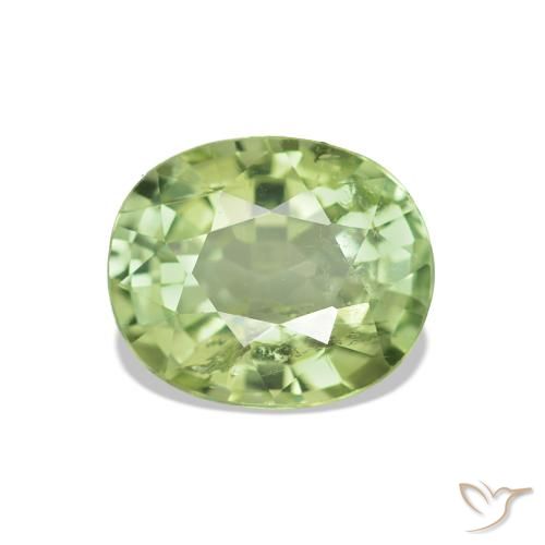 1.73ct Verde bosque Turmalina, Ovalada, VS-SI