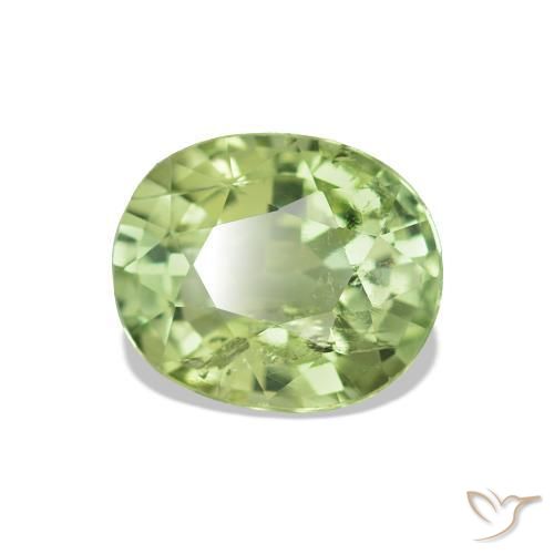 Turmalina Verde bosque natural de 1.73 ct, Corte Óvalo, VS-SI