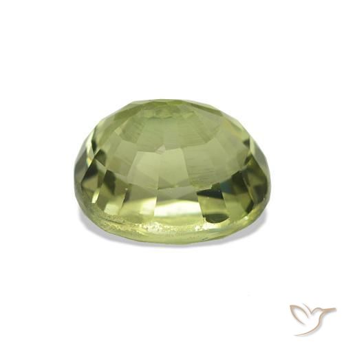 Turmalina Verde bosque natural de 1.67 ct, Corte Óvalo, VS-SI