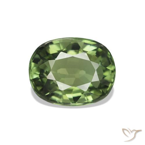 Turmalina Verde bosque natural de 1.46 ct, Corte Óvalo, VVS