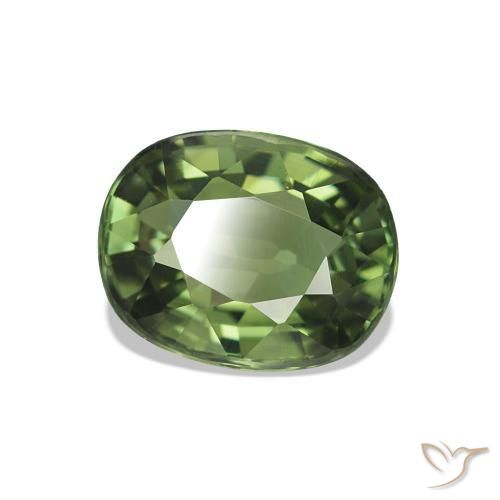 Turmalina Verde bosque natural de 1.46 ct, Corte Óvalo, VVS
