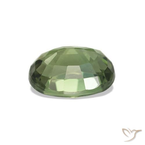 Turmalina Verde bosque natural de 1.46 ct, Corte Óvalo, VVS