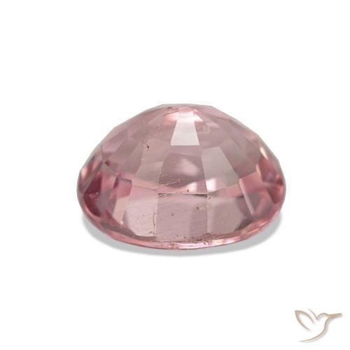 Turmalina Rosado cálido claro natural de 1.66 ct, Corte Óvalo, VVS-VS