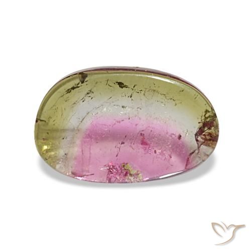 Turmalina multicolor de 1,66 ct, fantasía, transparente