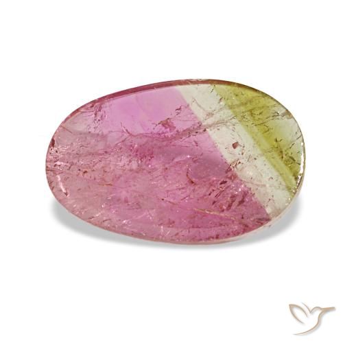 Turmalina bicolor de 1,59 ct, ovalado, transparente