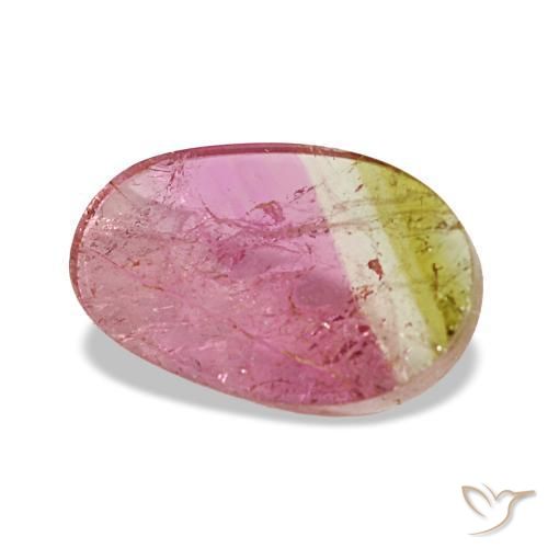Turmalina bicolor natural de 1,59 ct, corte óvalo, transparente