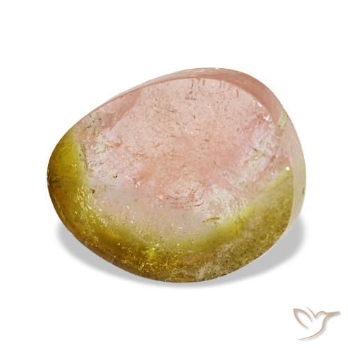 Turmalina bicolor natural de 3,09 ct, forma elegante, transparente