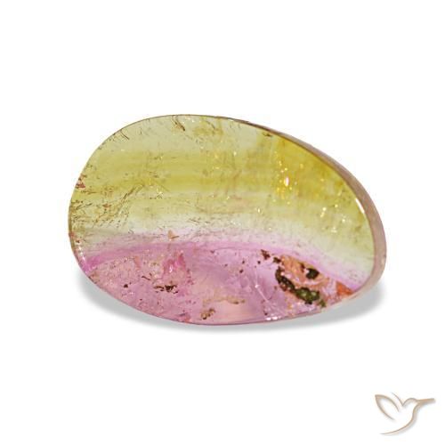 Turmalina multicolor natural de 1,95 ct, forma elegante, transparente