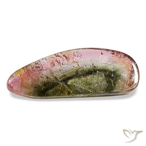 Turmalina multicolor natural de 10,58 ct, forma elegante, transparente
