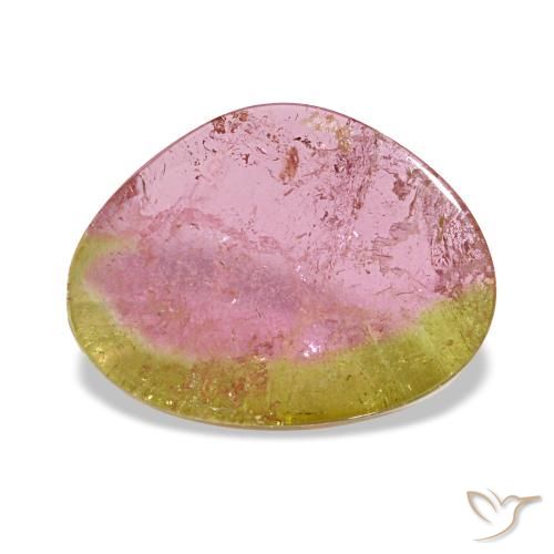 Turmalina bicolor de 3,20 ct, fantasía, transparente