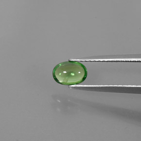 granate tsavorita Verde cromo natural de 0.63 ct, Corte Óvalo, Transparente