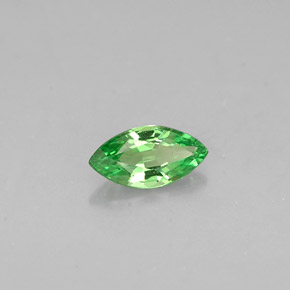 granate tsavorita Verde cromo natural de 0.27 ct, Marquesa, VVS-VS