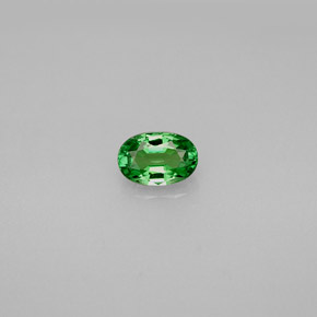 granate tsavorita Verde intenso natural de 0.61 ct, Corte Óvalo, VVS-VS
