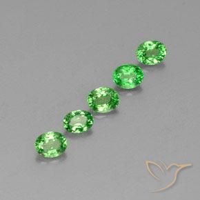 Gemas de Granate tsavorita Verde vivo natural de 1.41 ct, Ovalada, VS
