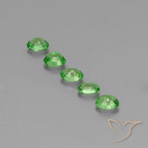 Gemas de Granate tsavorita Verde vivo natural de 1.41 ct, Ovalada, VS
