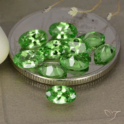 2.68ctw Natural Verde medio Granate Tsavorita, Ovalada, VS