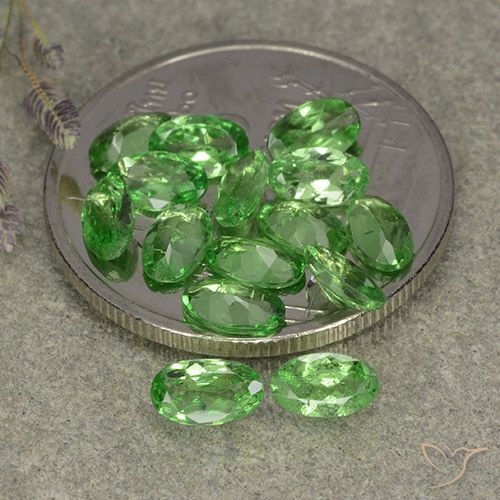 3.01ctw Natural Verde vivo Granate Tsavorita, Ovalada, VS