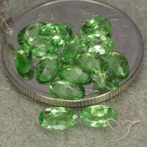 Gemas de Granate tsavorita Verde vivo natural de 3.01 ct, Ovalada, VS