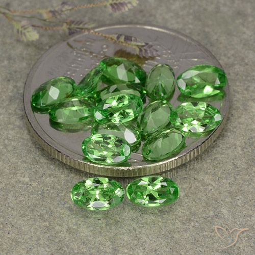 3.22ctw Natural Verde vivo Granate Tsavorita, Ovalada, VS