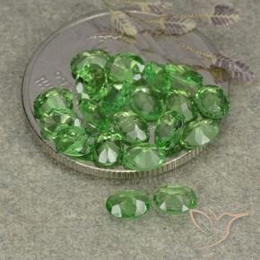 Gemas de Granate tsavorita Verde medio natural de 3.04 ct, Ovalada, VS