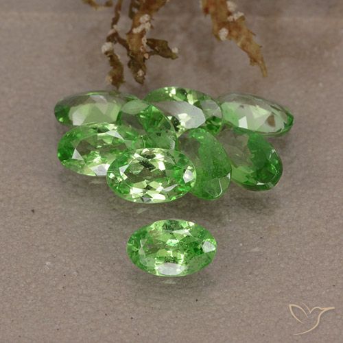 2.59ctw Natural Verde vivo Granate Tsavorita, Ovalada, VS