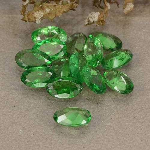 Gemas de granate tsavorita Verde claro natural de 2.96 ct, Corte Óvalo, VS