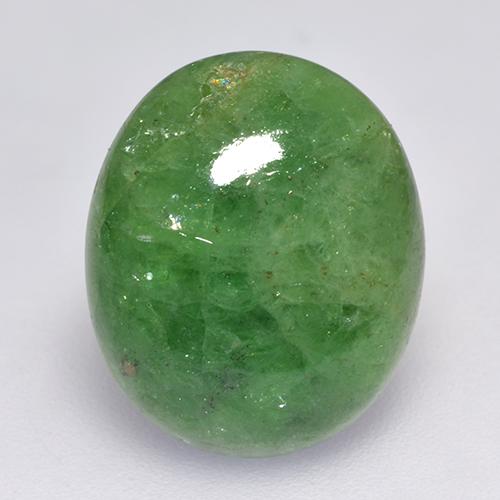granate tsavorita Verde oscuro natural de 7.56 ct, Corte Óvalo, Translúcido