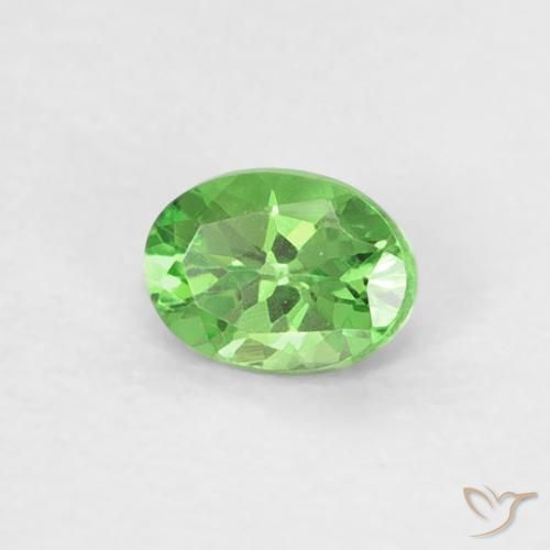 Granate tsavorita Verde vivo natural de 0.22 ct, Ovalada, VVS