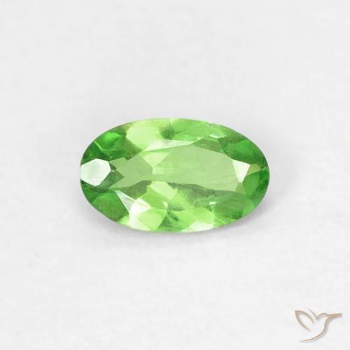 0.25ct Natural Verde vivo Granate Tsavorita, Ovalada, VVS-VS