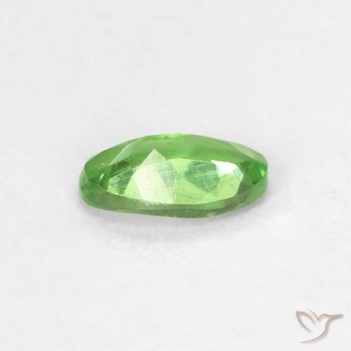 Granate tsavorita Verde vivo natural de 0.25 ct, Ovalada, VVS-VS