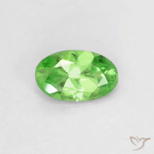 0.23ct Natural Verde vivo Granate Tsavorita, Ovalada, VVS-VS