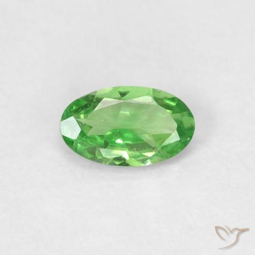 0.22ct Natural Verde vivo Granate Tsavorita, Ovalada, VVS-VS