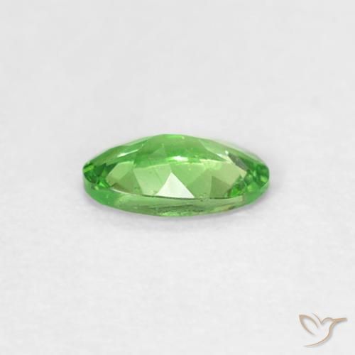 Granate tsavorita Verde vivo natural de 0.22 ct, Ovalada, VVS-VS