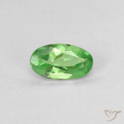 0.22ct Natural Verde vivo Granate Tsavorita, Ovalada, VVS