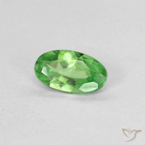 Granate tsavorita Verde vivo natural de 0.22 ct, Ovalada, VVS