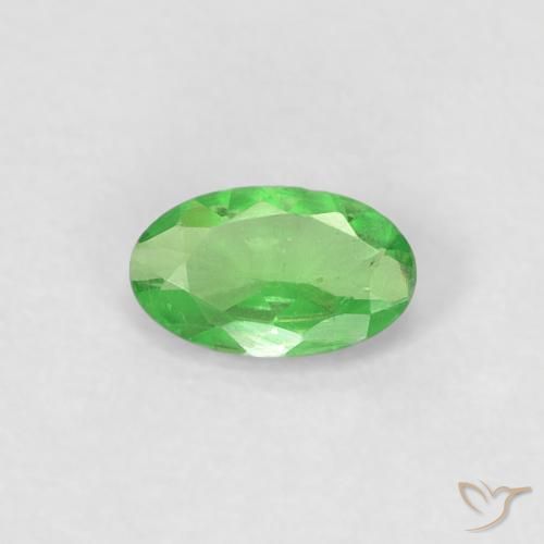 0.27ct Natural Verde vivo Granate Tsavorita, Ovalada, VVS