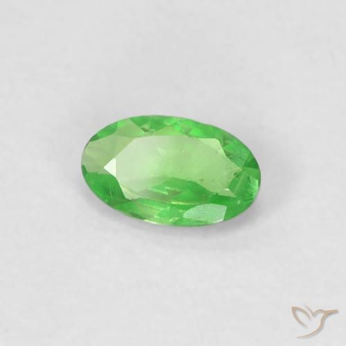 Granate tsavorita Verde vivo natural de 0.27 ct, Ovalada, VVS