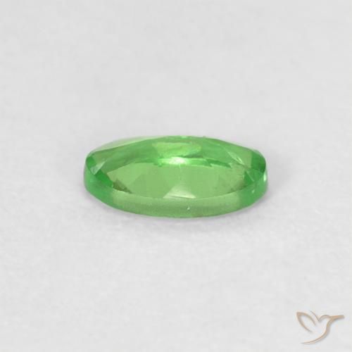 Granate tsavorita Verde vivo natural de 0.27 ct, Ovalada, VVS