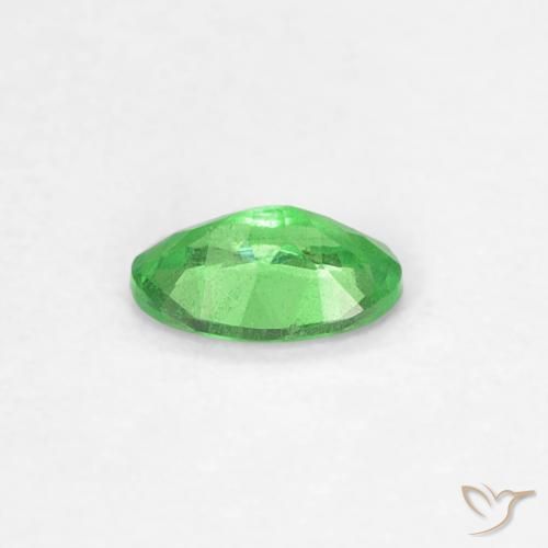 granate tsavorita Verde vivo natural de 0.23 ct, Corte Óvalo, VS