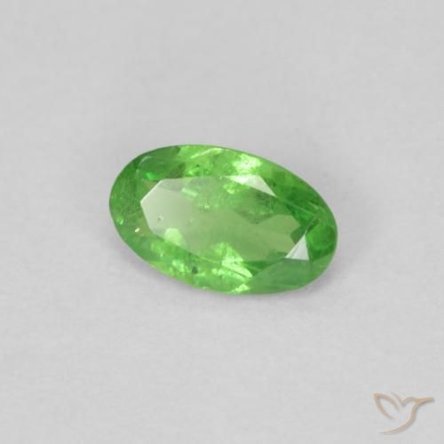 Granate tsavorita Verde vivo natural de 0.22 ct, Ovalada, VS