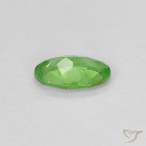 Granate tsavorita Verde vivo natural de 0.22 ct, Ovalada, VS