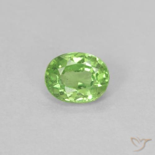 0.22ct Natural Verde vivo Granate Tsavorita, Ovalada, VS